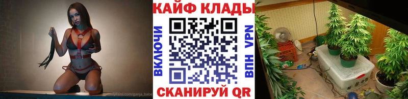 Купить закладку Alpha PVP  Меф  Гашиш  Каргополь