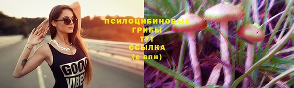 эйфоретик Карталы