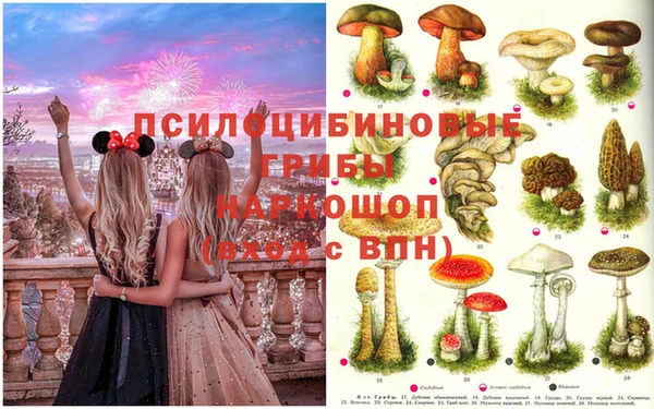 MDMA Premium VHQ Карпинск