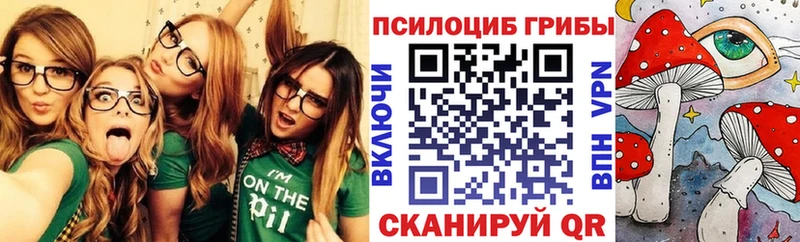 Купить  Каргополь  Галлюциногенные грибы мицелий 